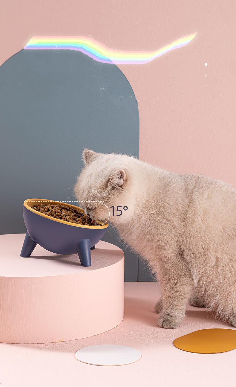 Raised Cat/Dog Feeding Bowl