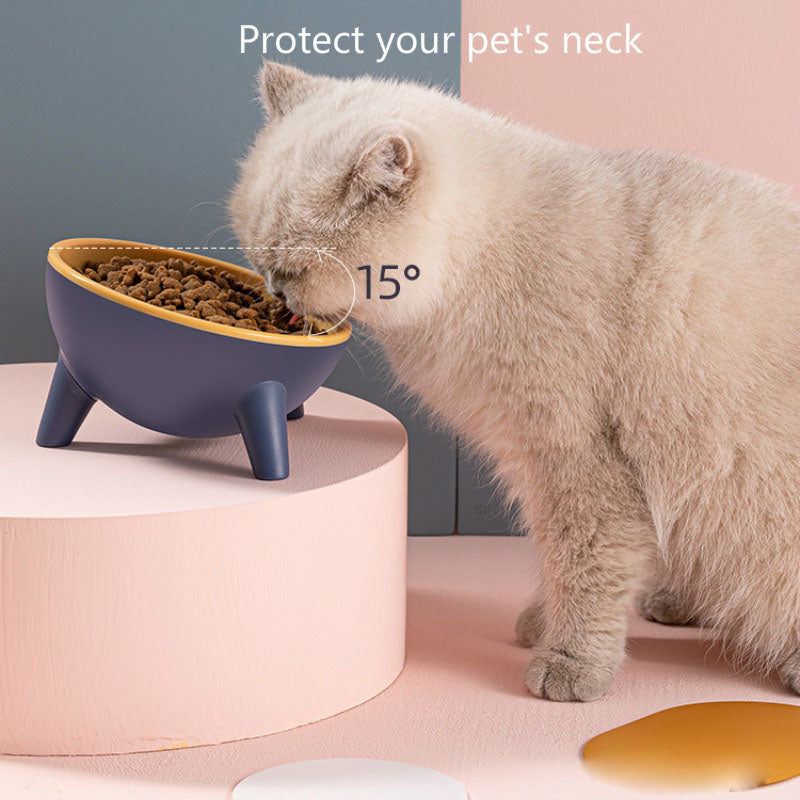 Raised Cat/Dog Feeding Bowl